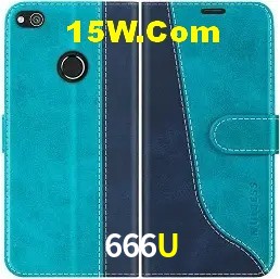 Login Seguro 666U